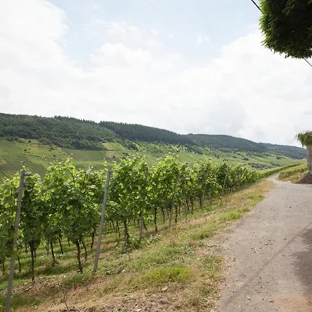 Malerisches In Reil, Cleaning Included Apartment *